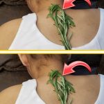 The Lemon-Charcoal Marvel: A Natural Solution for Everyday Needs