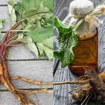 Hair Grows Like Crazy and Doesn’t Fall Out! This is the Best Remedy! Aloe Vera for Hair!