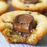 How to Grow Coriander at Home Using Water Method