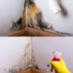 9 Brilliant Life Hacks for a Hassle-Free Everyday Experience