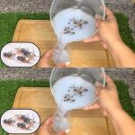 Plant Once, Pick Forever! 10 Perennial Vegetables You NEED to Plant This Summer