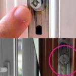 Why Ginger? The Secret Behind Its Fat-Burning Power