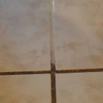 Chrysanthemums Are NOT Disposable Plants: How to Winter Them Over for Years of Enjoyment