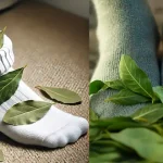 Molten Chocolate Muffins: An Irresistible Treat