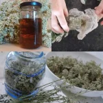 Quick Almond and Condensed Milk Dessert: No Bake Delight