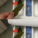 Almost all freezers have this “secret” element. That’s why it needs to be used once every 3 months