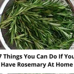 Chicken Sausages with Zucchini, Tomatoes, and Pasta