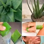 Creamy Baked Rice Pudding with Cinnamon