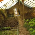 How to Build a Potato Tower: A Step-by-Step Guide to Efficient Gardening