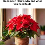 10 kinds of meat and how long to store them each in the freezer