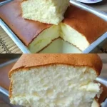 The Correct Way to Fertilize Trees for Healthy Growth