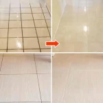 Rice as Fertilizer for Orchids: A Sustainable and Cost-effective Approach