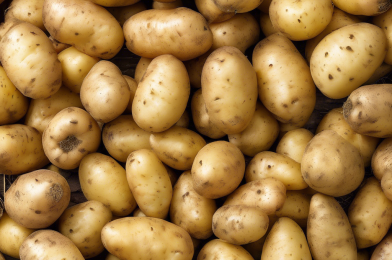 The Full Guide to Cutting and Planting Potatoes for a Bigger, Healthier Harvest