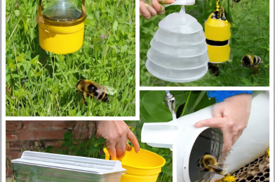 How to Make a Very Cheap Bee Waterer